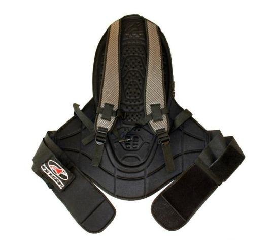 Защита спины Alpinestars