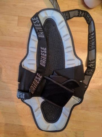 Защита спины Dainese