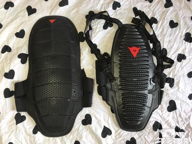 Защита спины dainese