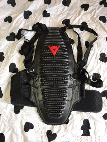 Защита спины dainese