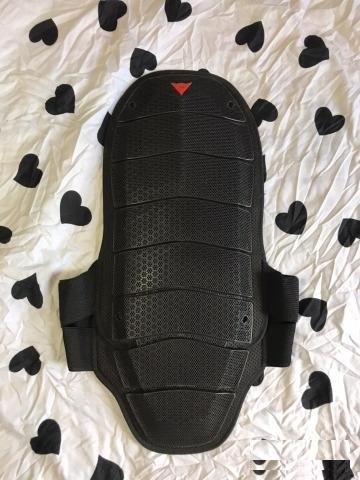 Защита спины dainese