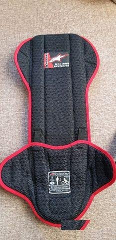 Защита спины Alpinestars