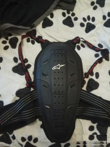 Защита спины AlpineStars Bionic