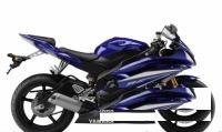 Слайдеры в ось маятника для Yamaha YZF-R6 (06-14)