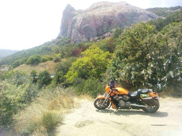 Harley davidson v-rod