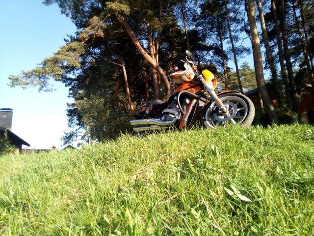 Harley davidson v-rod