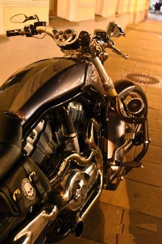 Harley-Davidson V-Rod Muscle