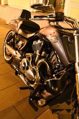 Harley-Davidson V-Rod Muscle