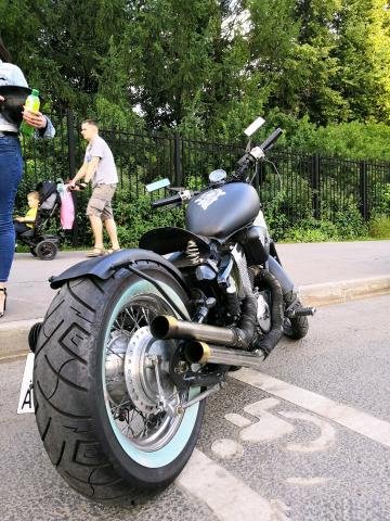 Honda steed