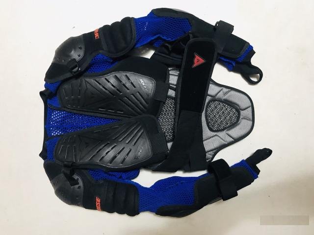 Мото Черепаха dainese