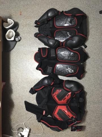 Защита спины черепаха alpinestars