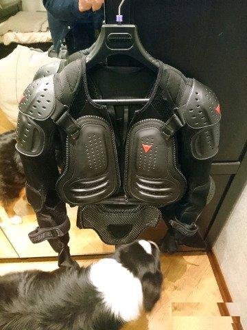 Черепаха Dainese Light Wave D1 (М)