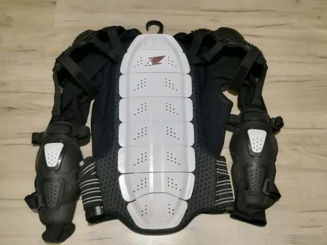 Черепаха Zandona Corax Evo