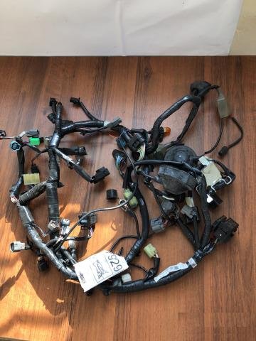 Основная проводка Kawasaki Ninja EX 300, 13-17