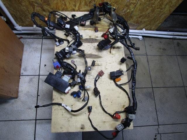 Проводка основная Honda CBR 1000 RR cbr1000rr 2013