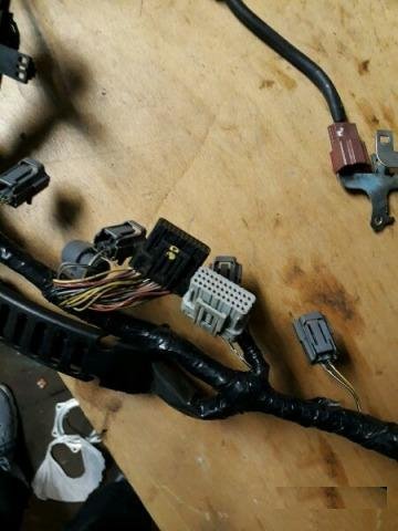 Проводка электрика Хонда cbr600rr 2007-12г