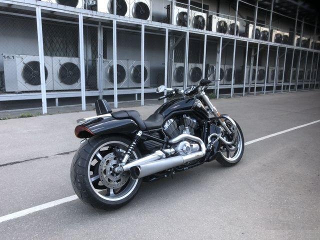 Продам Harley Davidson vrod/v-rod muscle