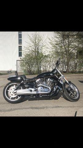 Продам Harley Davidson vrod/v-rod muscle