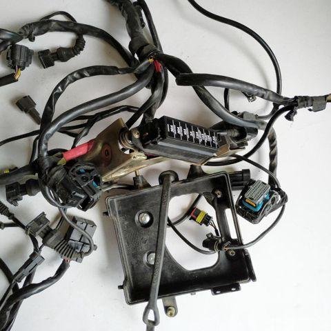 Проводка Ducati monster S4R / коса дукати целиком