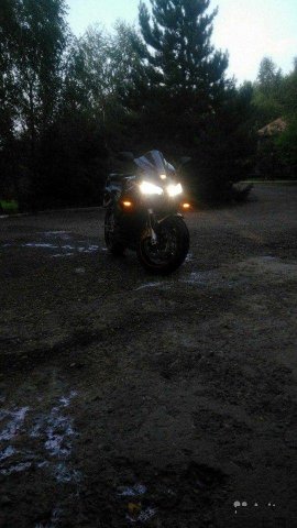 Honda cbr600rr 2004 год