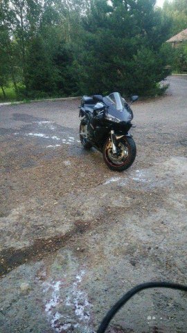 Honda cbr600rr 2004 год