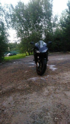 Honda cbr600rr 2004 год