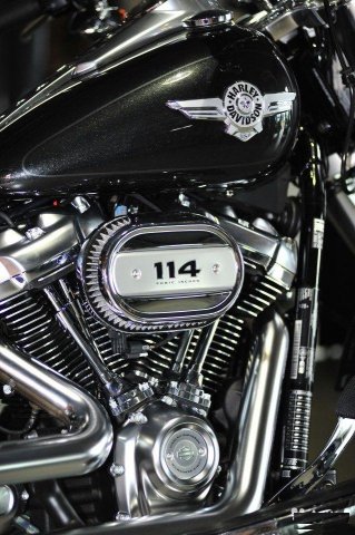 Fat Boy Harley-Davidson flfbs