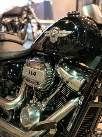 Harley-Davidson flfbs (Softail Fat Boy 114)