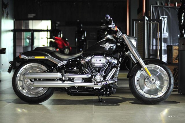 Fat Boy Harley-Davidson flfbs