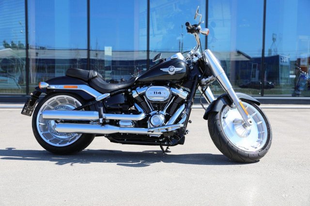 Fat Boy Harley-Davidson flfbs