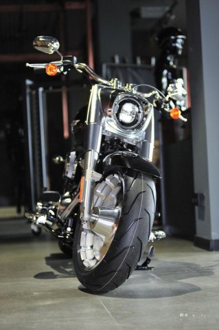 Fat Boy Harley-Davidson flfbs