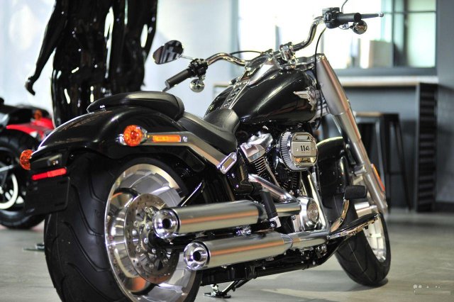 Fat Boy Harley-Davidson flfbs