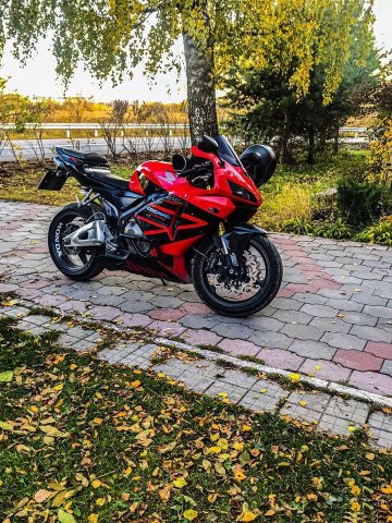 Honda cbr 600 rr