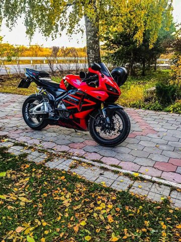Honda cbr 600 rr