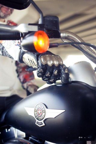 Harley-Davidson fat boy
