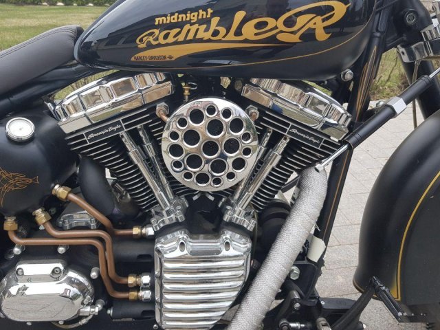 Harley-Davidson fkstf 1580 эксклюзив