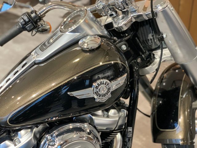 Harley-Davidson Fat Boy107 2020г