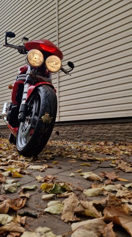 Triumph speed triple 955i