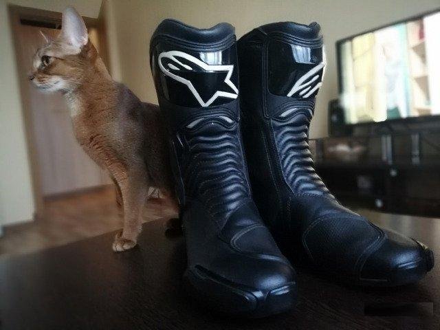 Мотоботы alpinestars SMX 6 (42р)