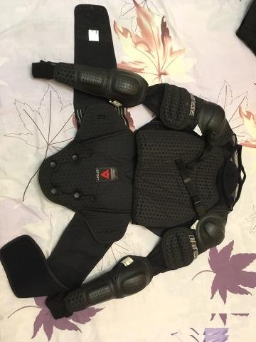 Dainese Lavaggio Pro Jacket моточерепаха