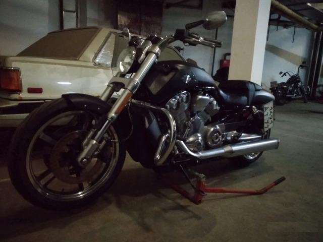 V-rod Muscle