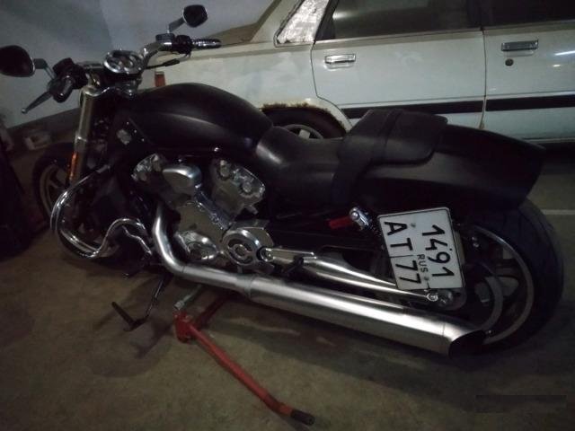 V-rod Muscle