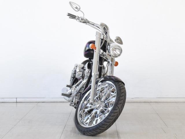 Arlen Ness Lowliner 2006г
