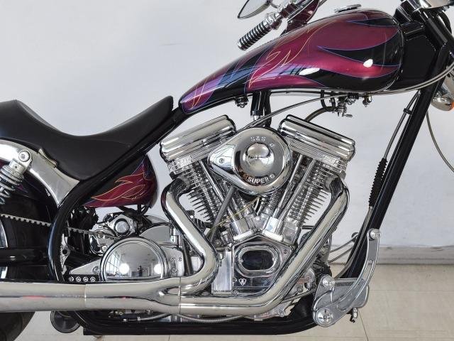 Arlen Ness Lowliner 2006г