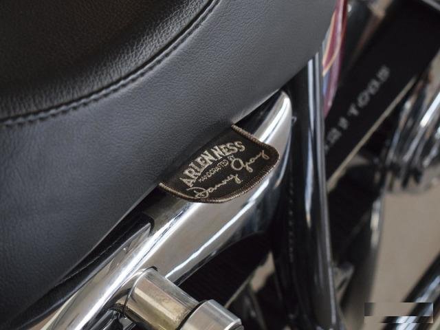 Arlen Ness Lowliner 2006г