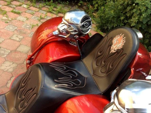 Phoenix trike