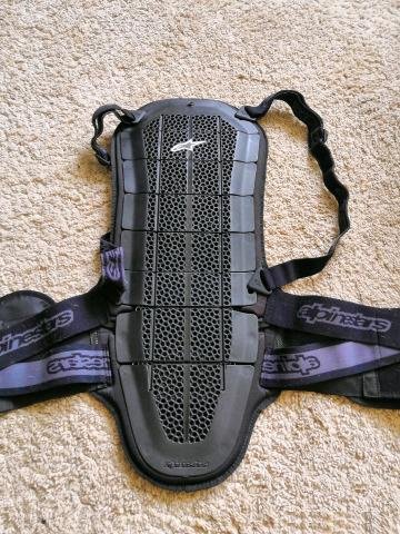 Защита спины (мотозащита) Alpinestars Bionic