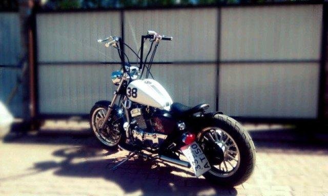 Bobber Desert raven Arizona 250