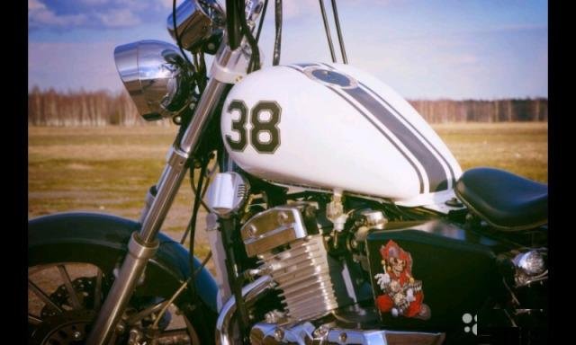 Bobber Desert raven Arizona 250