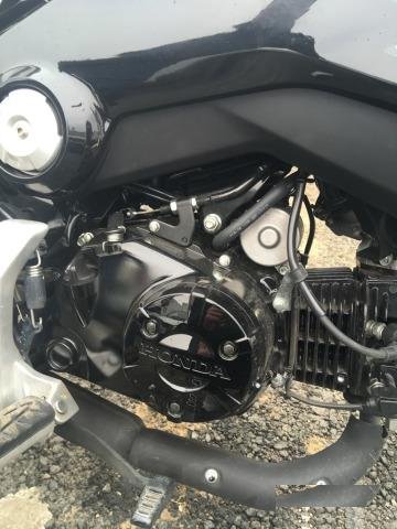 Питбайк MSX 125 Grom